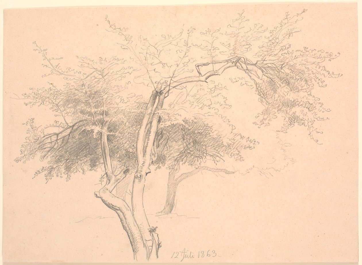 Studie af trætoppe. af P.C. Skovgaard