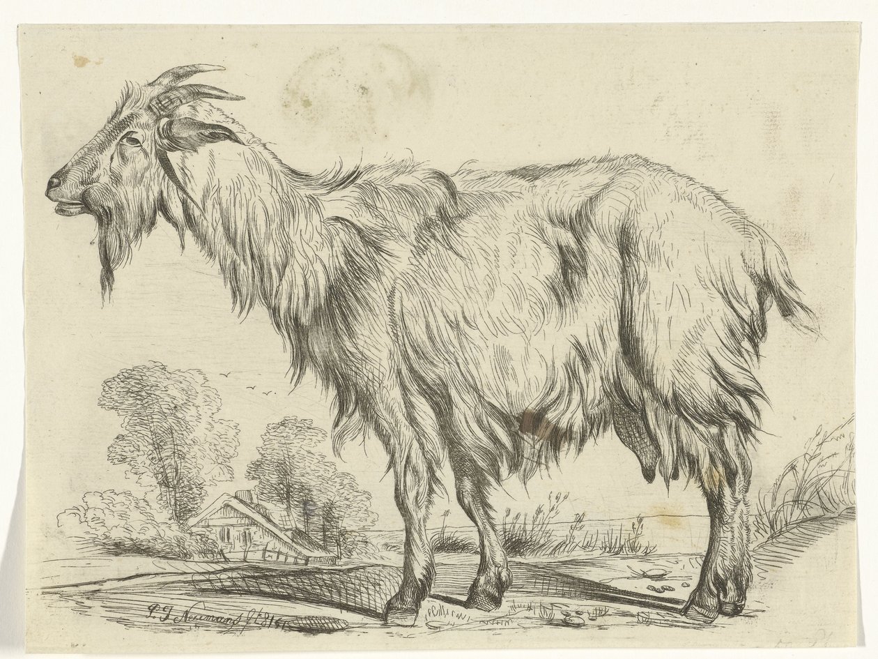 stående ged af P.J. Neumans
