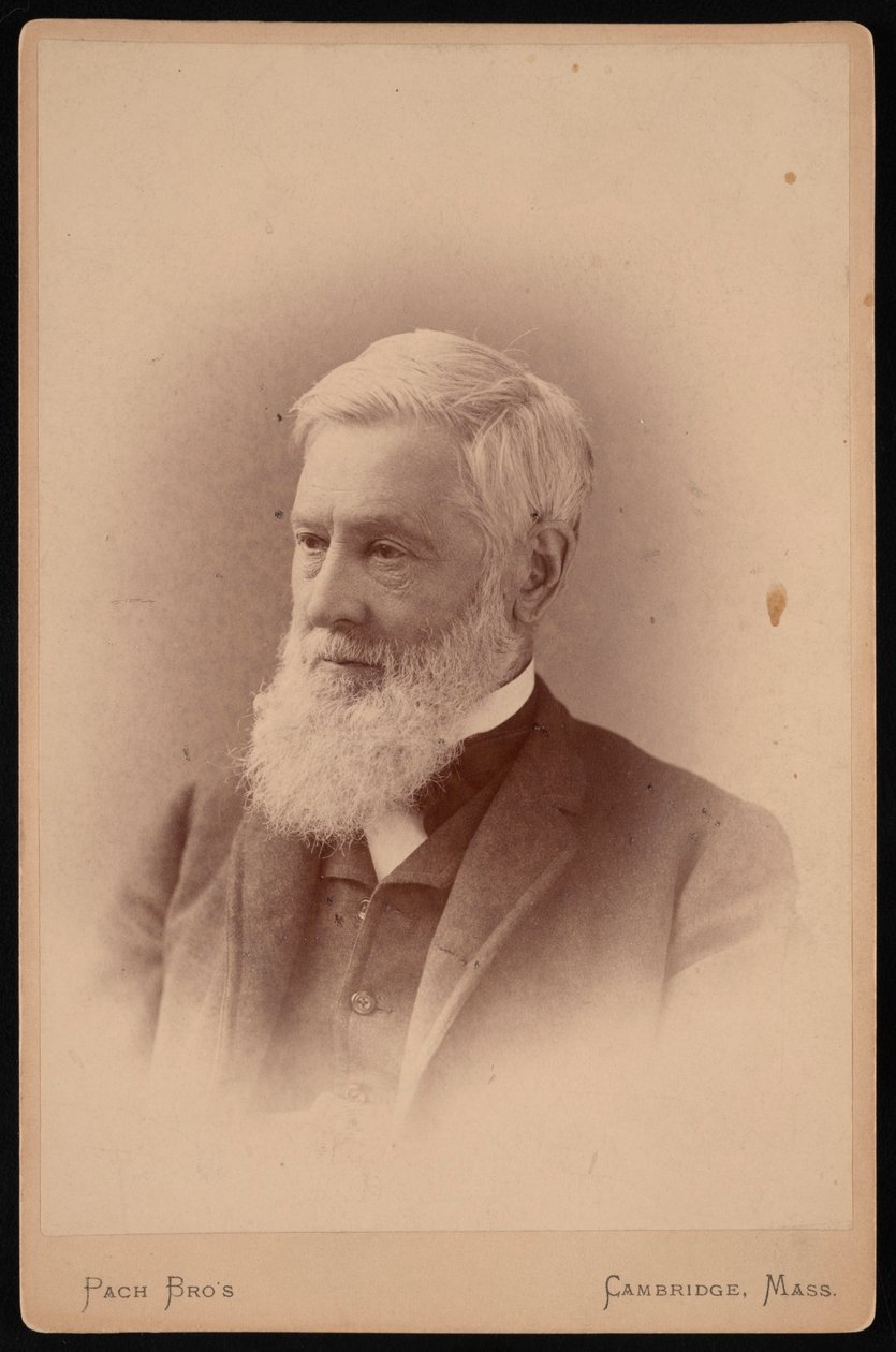 Portræt af Asa Gray 1810-1888, marts 1887. af Pach Bros