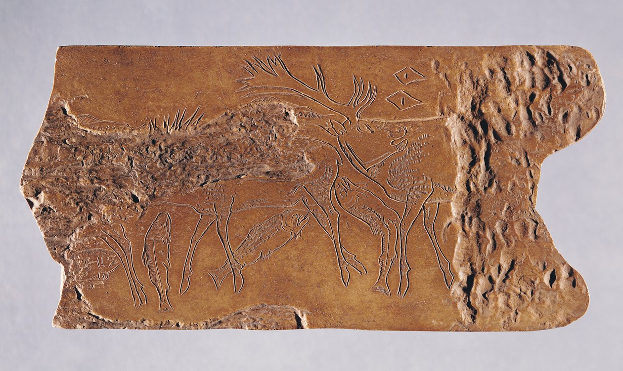 Rensdyrhorn udskåret med hjorte og springende laks, fra Grotte de Lortet, Magdalenian, 15000-18000 f.Kr. (horn) af Paleolithic
