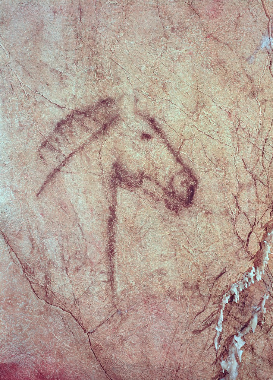Head of a Horse, fra Cueva de la Pena de Candamo San Roman (hulemaleri) af Paleolithic