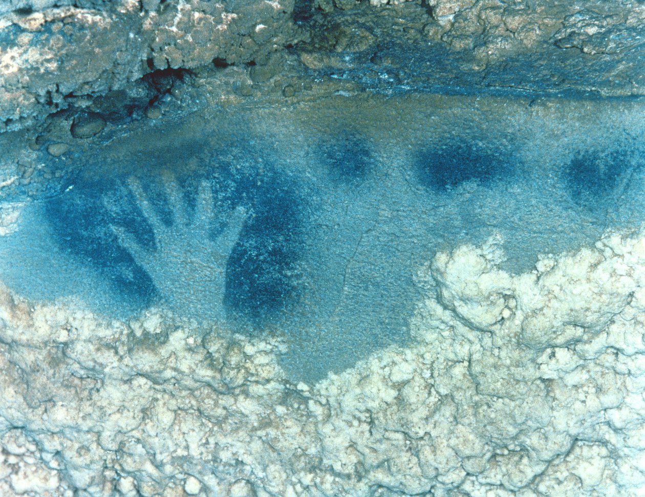 Håndstencil, fra den øverste del af det plettede hestepanel, sen øvre palæolitiske periode, solutreisk kultur, ca. 22000-18000 f.Kr. (foto) af Paleolithic Paleolithic