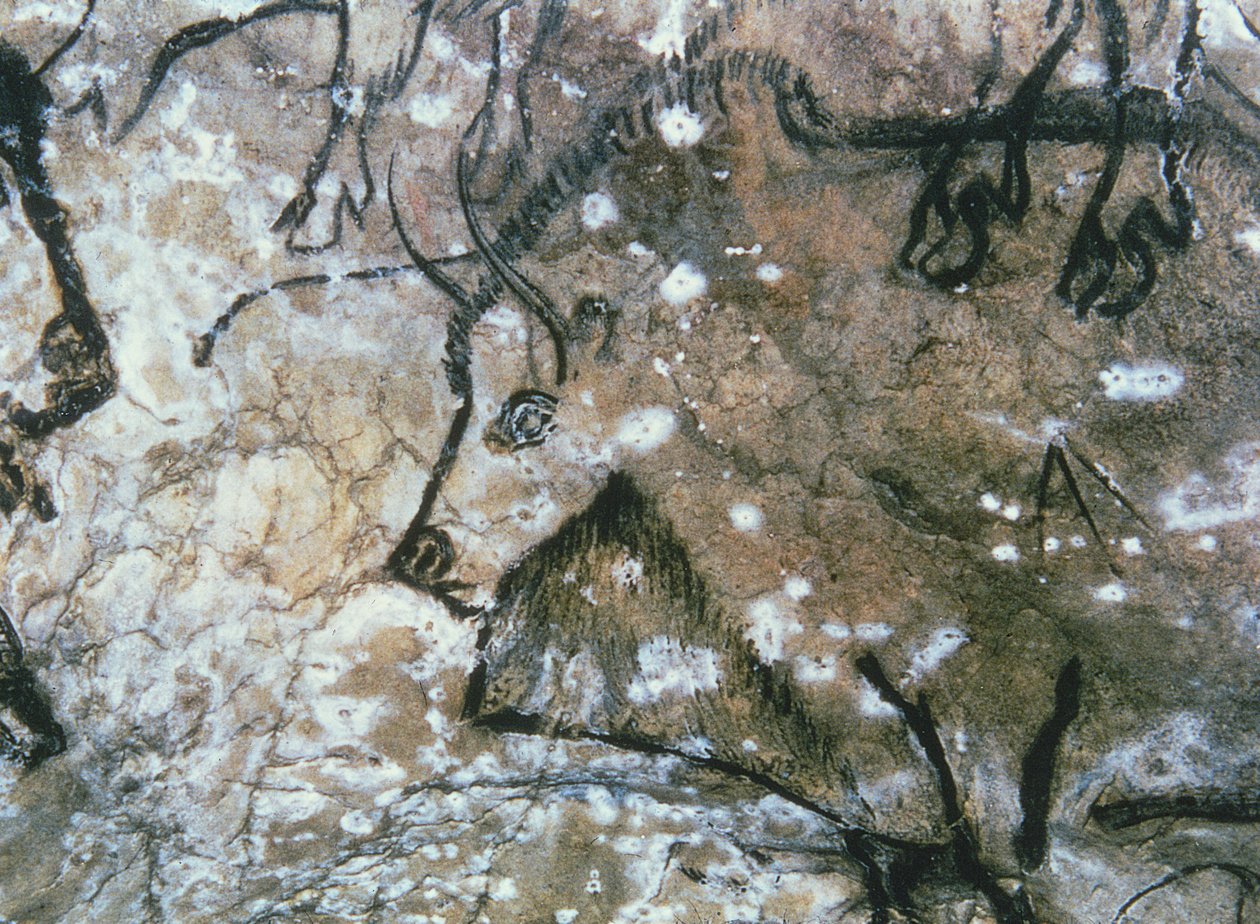 Injured Bull, klippemaleri, Magdalenian (hulemaleri) af Paleolithic Paleolithic