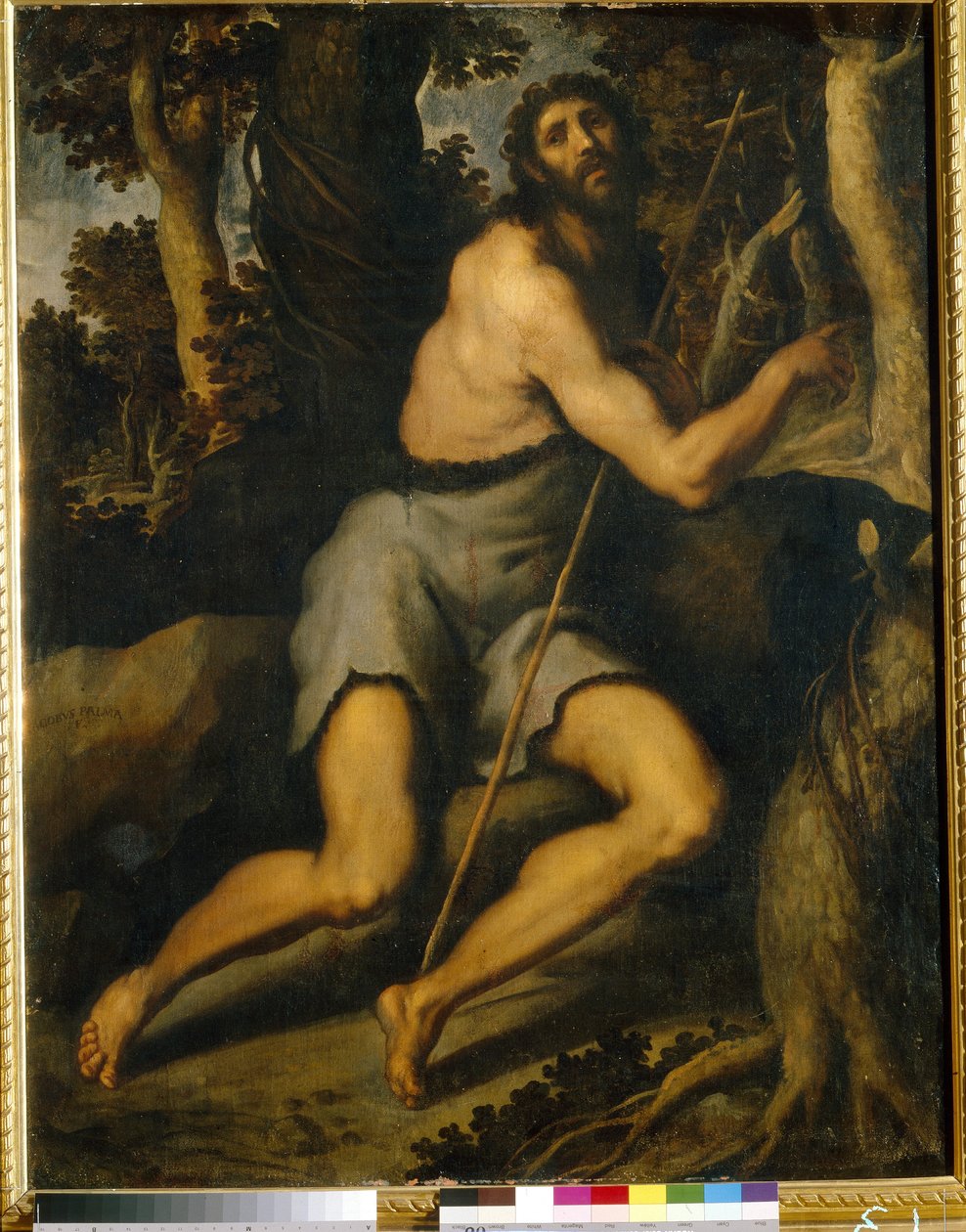 Sankt Johannes Døberen i ørkenen (Saint John The Baptist In The Wilderness). Jacopo Palma il Giovane, den yngre (1544-1628), olie på lærred, 16.-17. århundrede. Italiensk kunst (Venedig), Manierisme. Museum for vestlig og orientalsk kunst, Kiev (ukraine). af Palma Il  Giovane