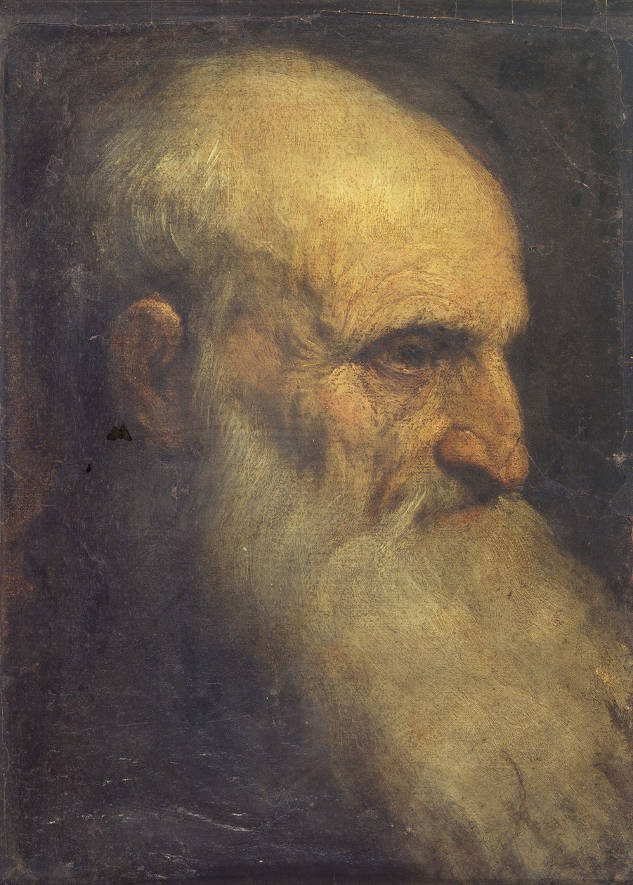 Hoved af en mand (foran), ca. 1588-90 (olie på lærred) af Palma Il Giovane