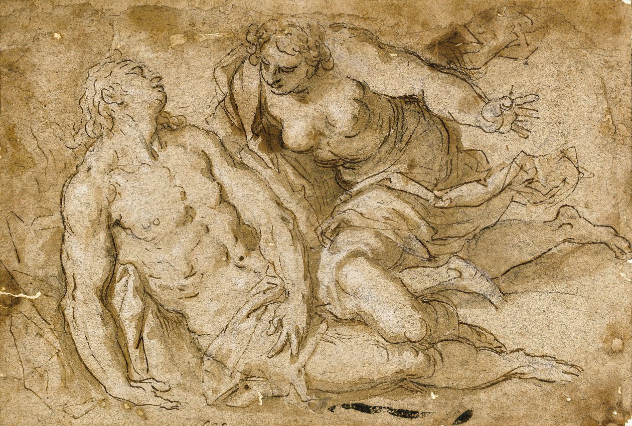 Venus opdager den døde Adonis (sort kridt, pen og brunt blæk på papir) af Palma Il Giovane