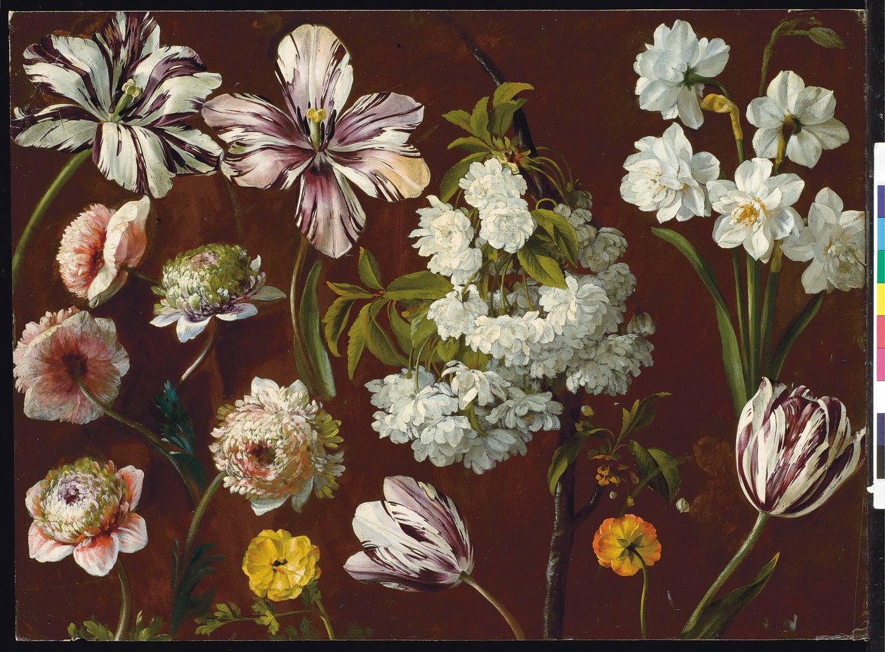 Lilla tulipaner, hvidblomstrende prunus, narcissus og pink krysantemum (olie på papir) af Pancrace Bessa