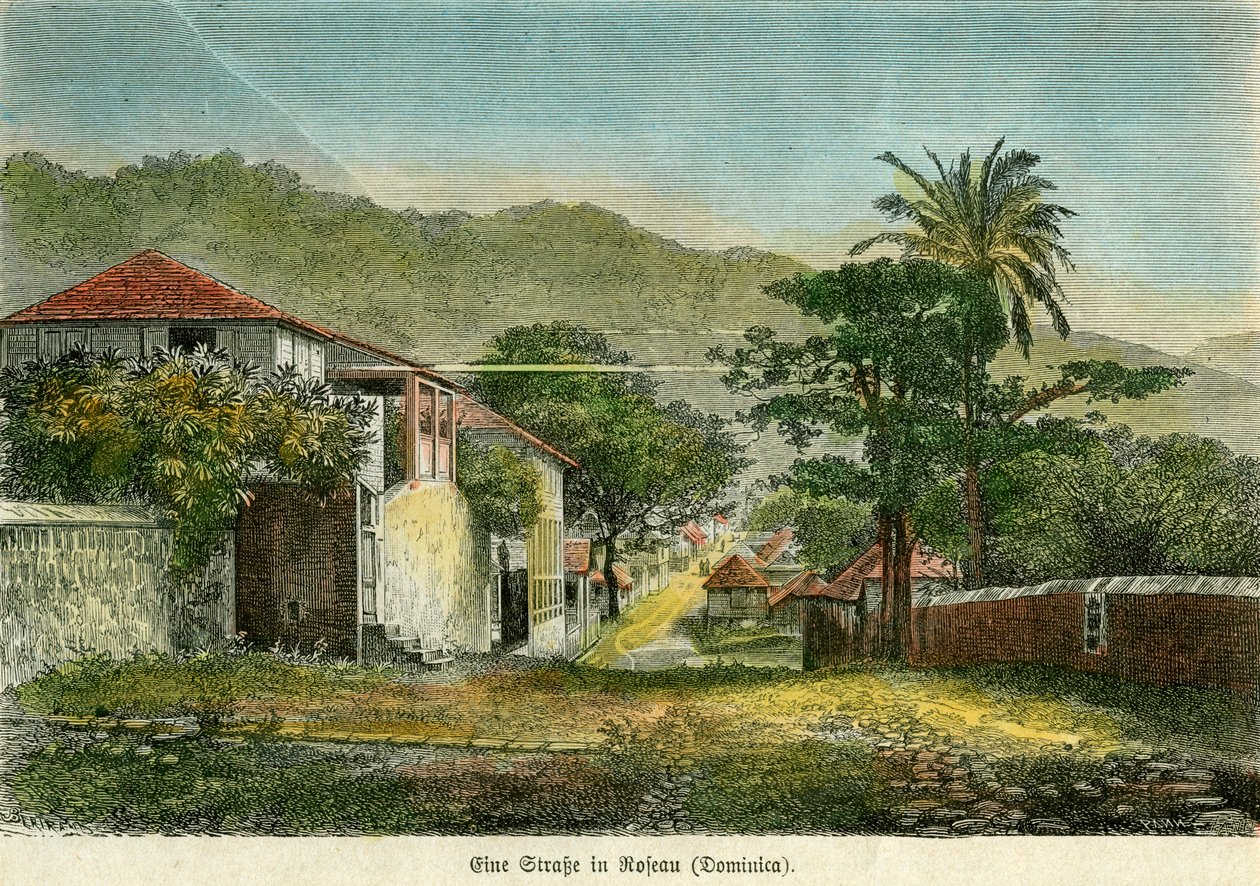En gade i Roseau, Dominica, c1880. af Pann