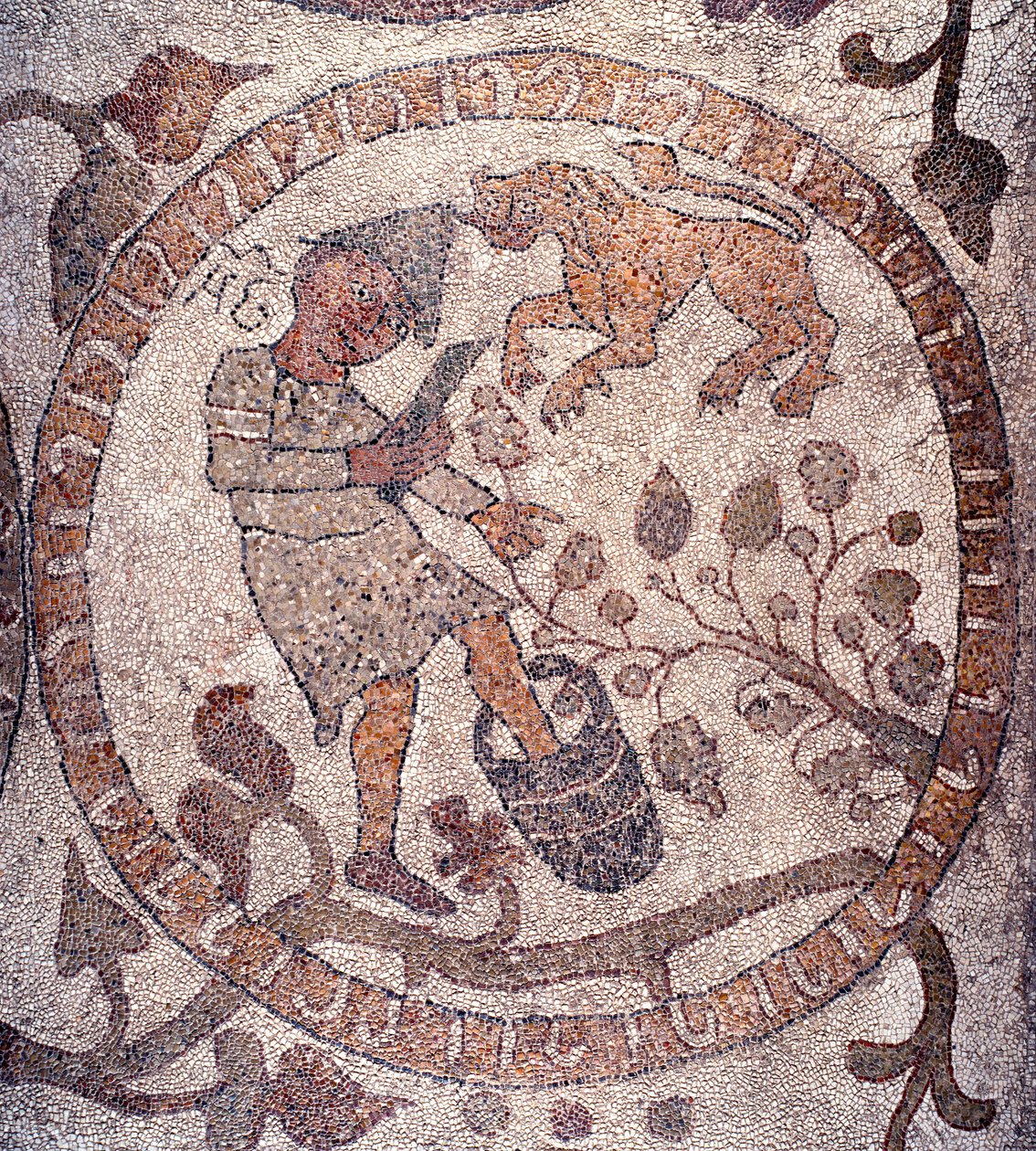 August: en bonde iført frygisk kasket plukker druerne og knuser dem i en spand. Løvens tegn er repræsentativt. Mosaik af Pantaleone, præst og mosaik. 1163-1166. Centralskib i katedralen i Otranto (Otranto), Italien af Pantaleon Pantaleon