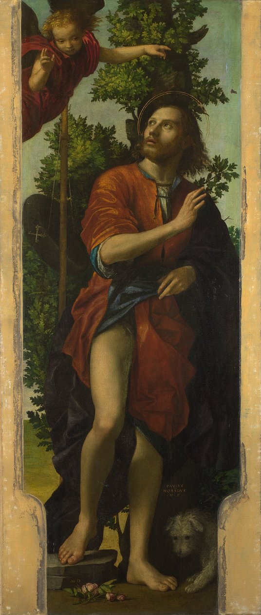 Saint Roch af Paolo Morando Cavazzola