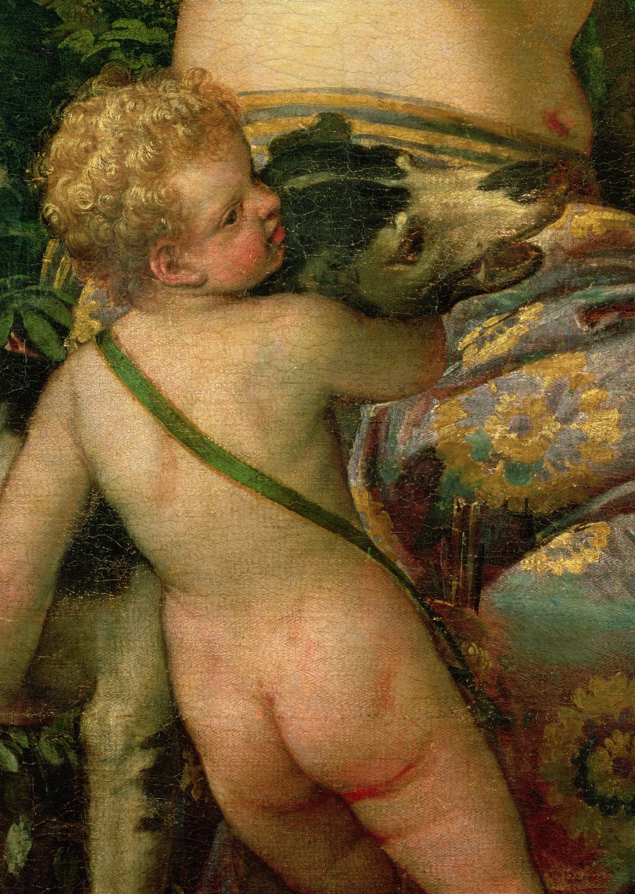 Amor, detalje fra Venus og Adonis, 1580 (detalje af 38598) af Paolo Veronese