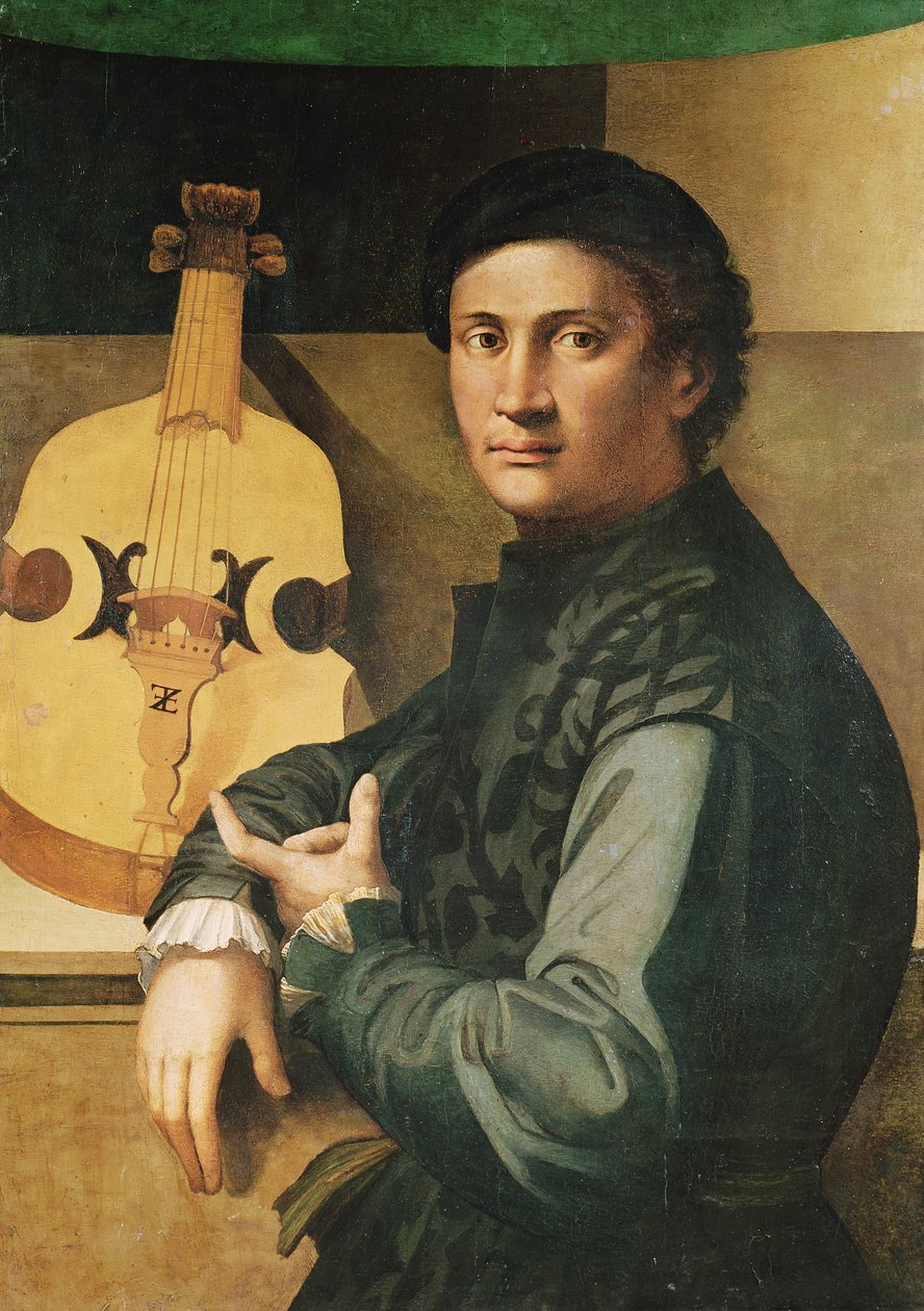 Bratschespilleren af Paolo Zacchia