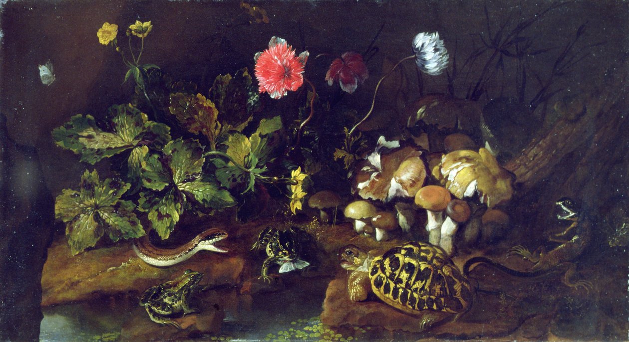 Stilleben med slange, frøer, skildpadde og firben (olie på lærred) af Paolo Porpora