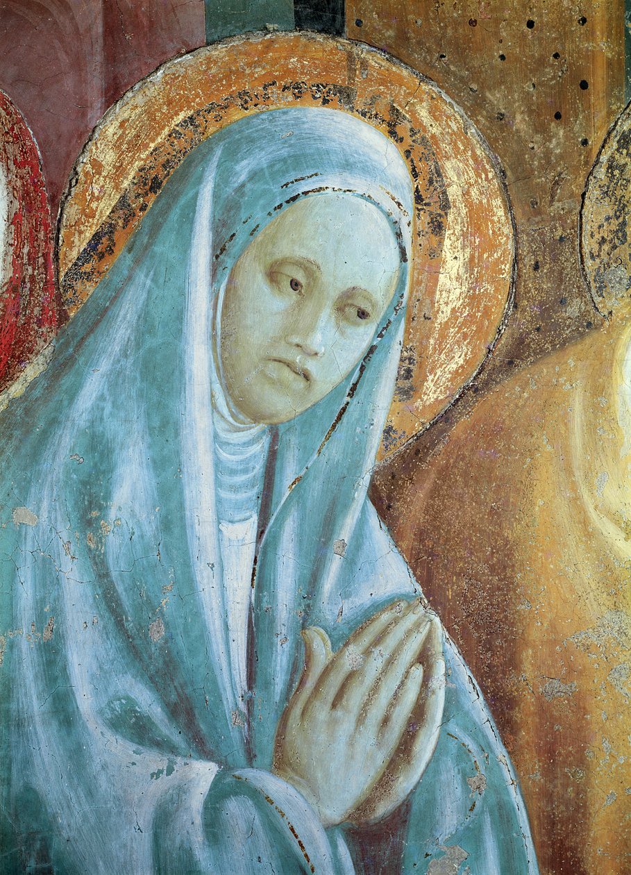 Head of Saint Anne fra præsentationen af Maria i templet, 1433-34 (detaljer) af Paolo Uccello