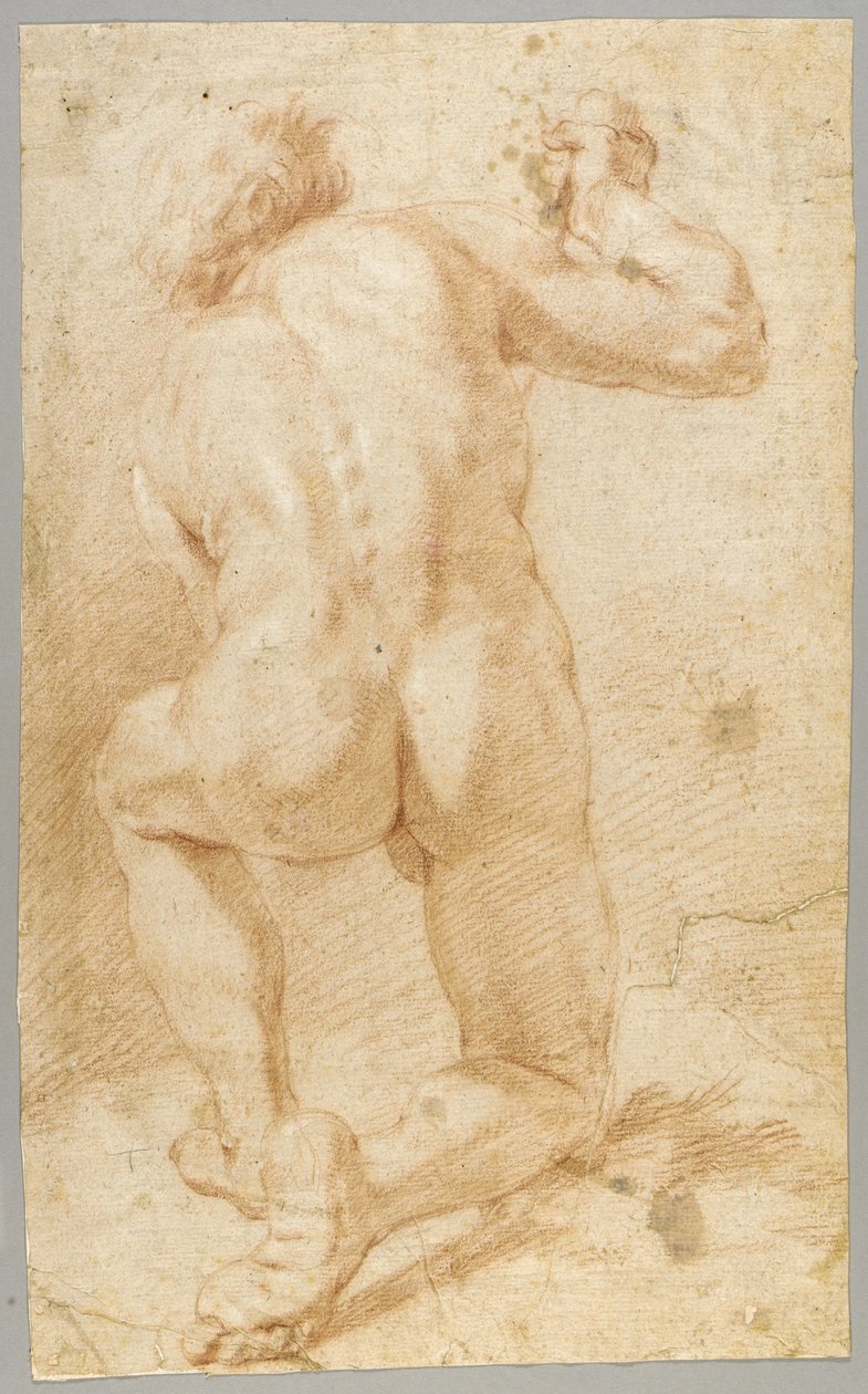 Tegning af Paolo de Matteis
