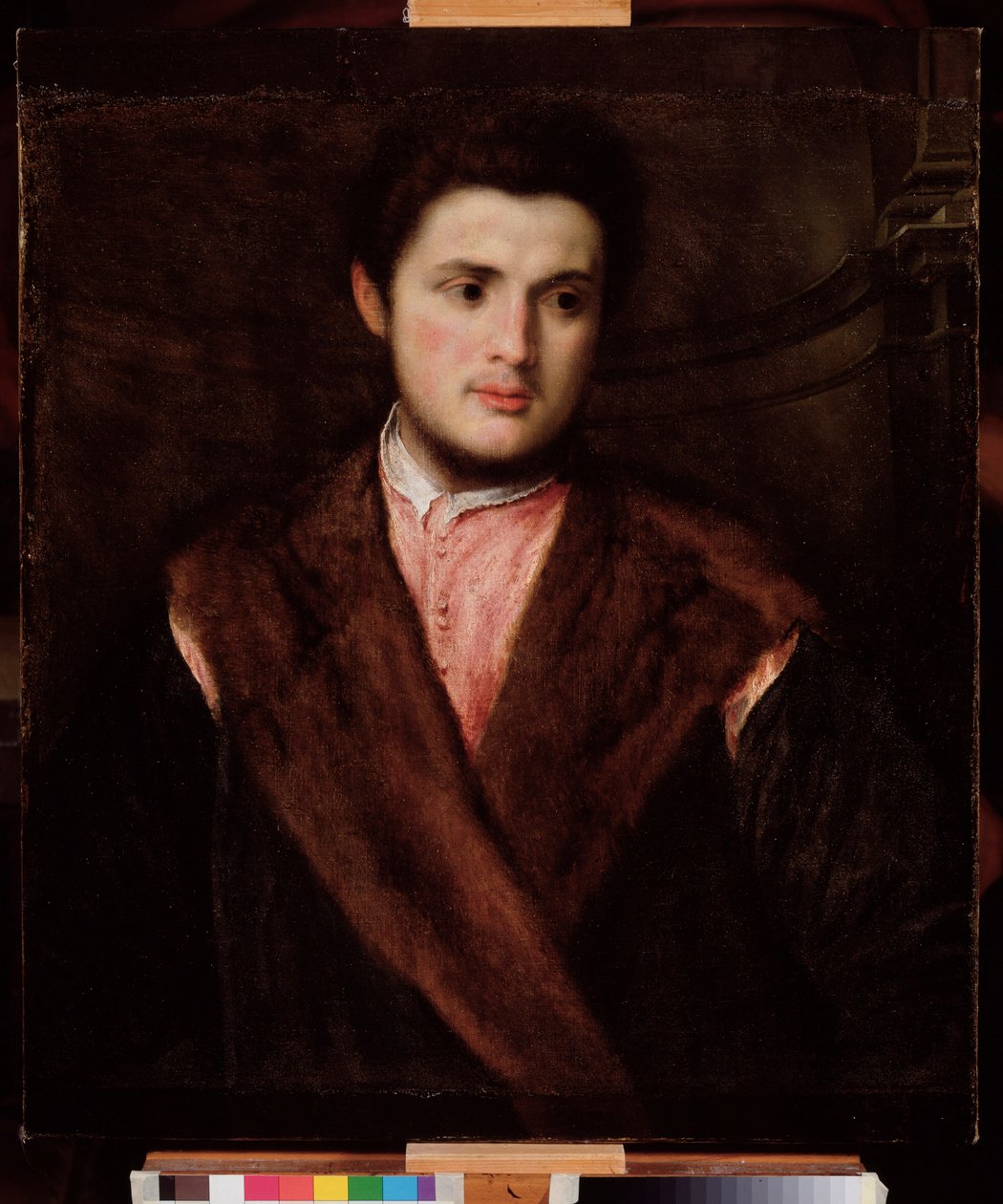 Portræt af en ung mand iført pels Maleri af Paris Bordon (1500-1571) 1500-tallet Dim 75x64 cm Genes Musei di Strada Nuova (ex Palazzo Rosso) af Paris Bordone