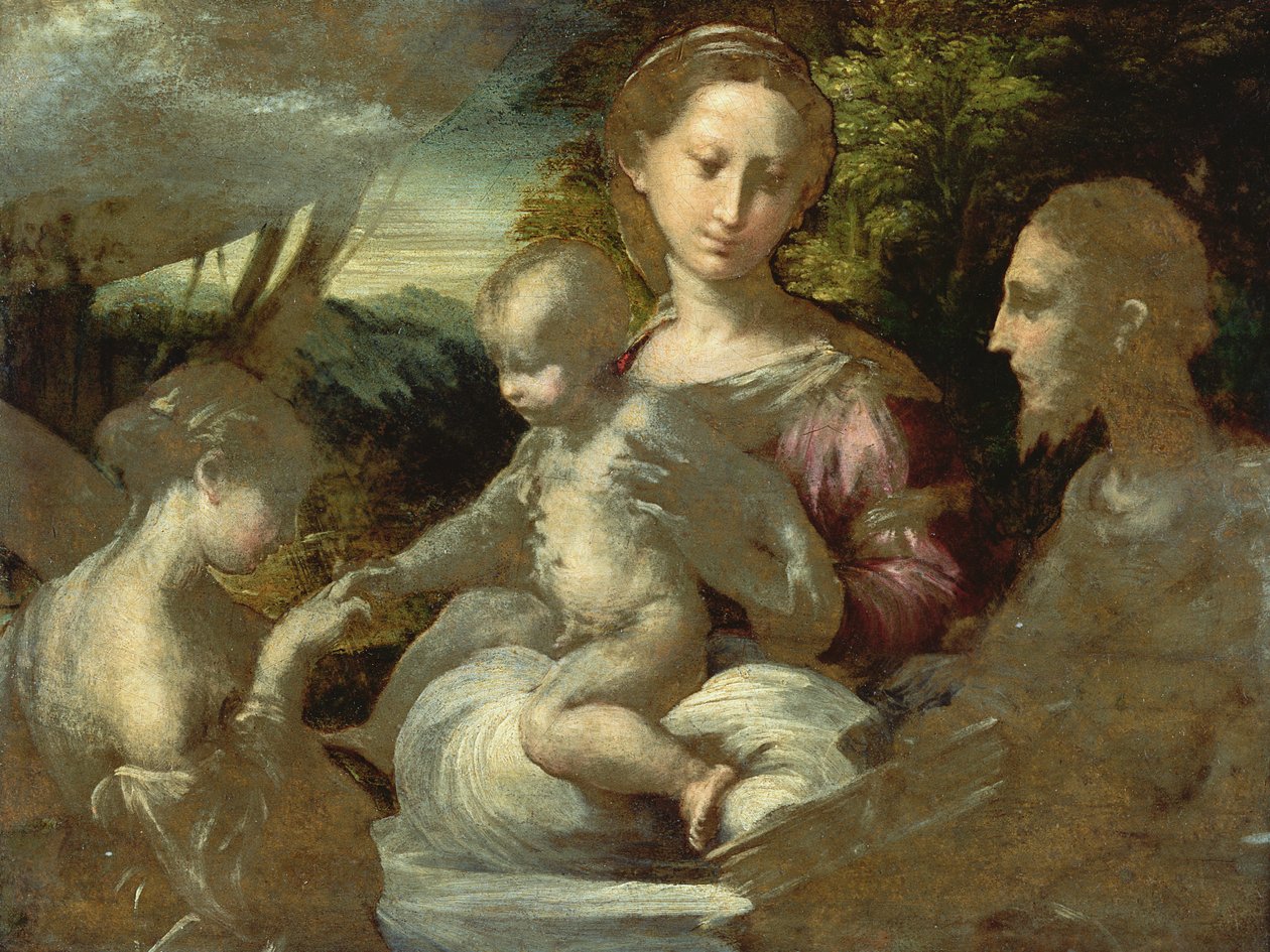 Studie til The Mystic Marriage of St. Catherine, c.1527 af Parmigianino