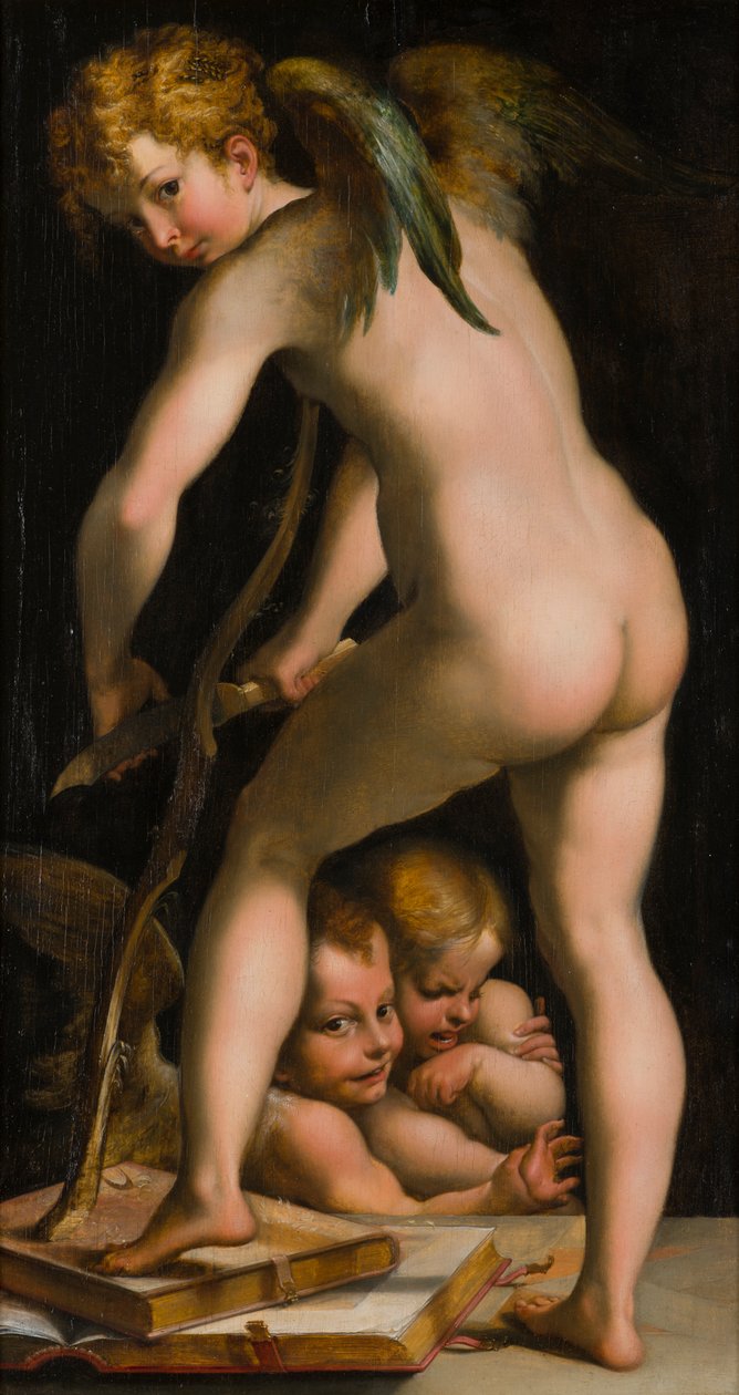 Amor barberer sin sløjfe, ca. 1523-40 (olie på lærred) af Parmigianino 