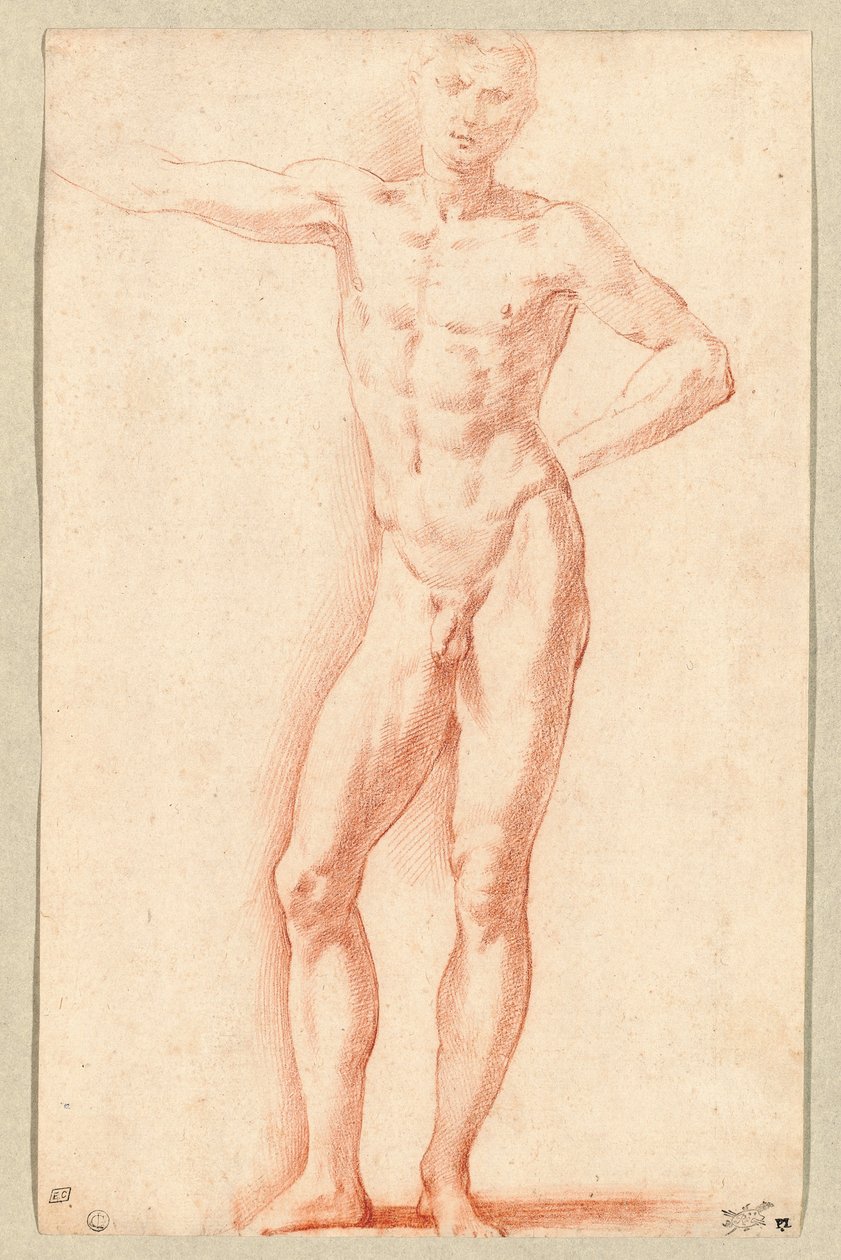 En nøgen mand (rødt kridt) af Parmigianino (1503-40)