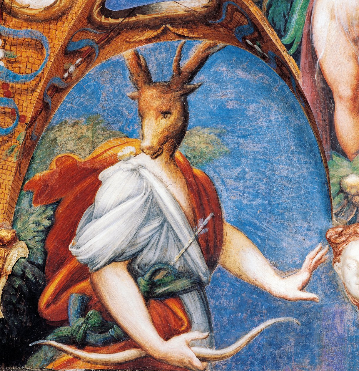Actaeons transformation til hjort, fra Myth of Diana and Actaeon, omkring 1524, af Francesco Mazzola kendt som Parmigianino (1503-1540), fresco, Room of Diana and Actaeon, Rocca Sanvitale, Fontanellato, nær Parma, Emilia-Romagna, Italien af Parmigianino
