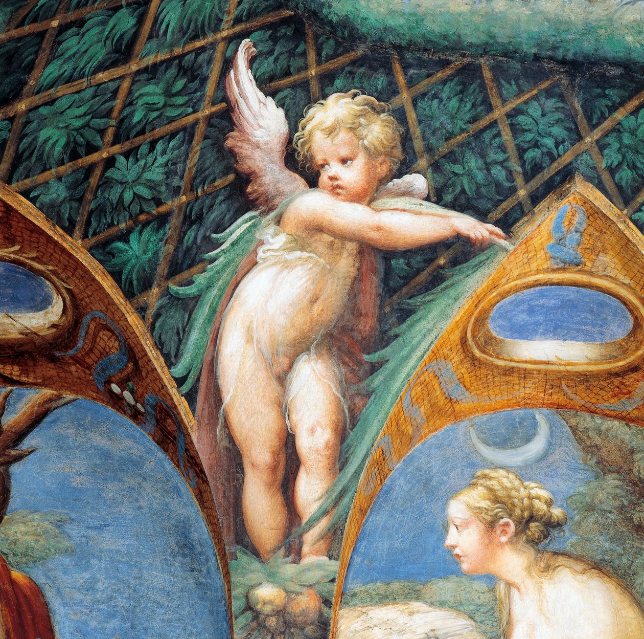 Cherub og Dianas ansigt, fra Myth of Diana and Actaeon, ca af Parmigianino