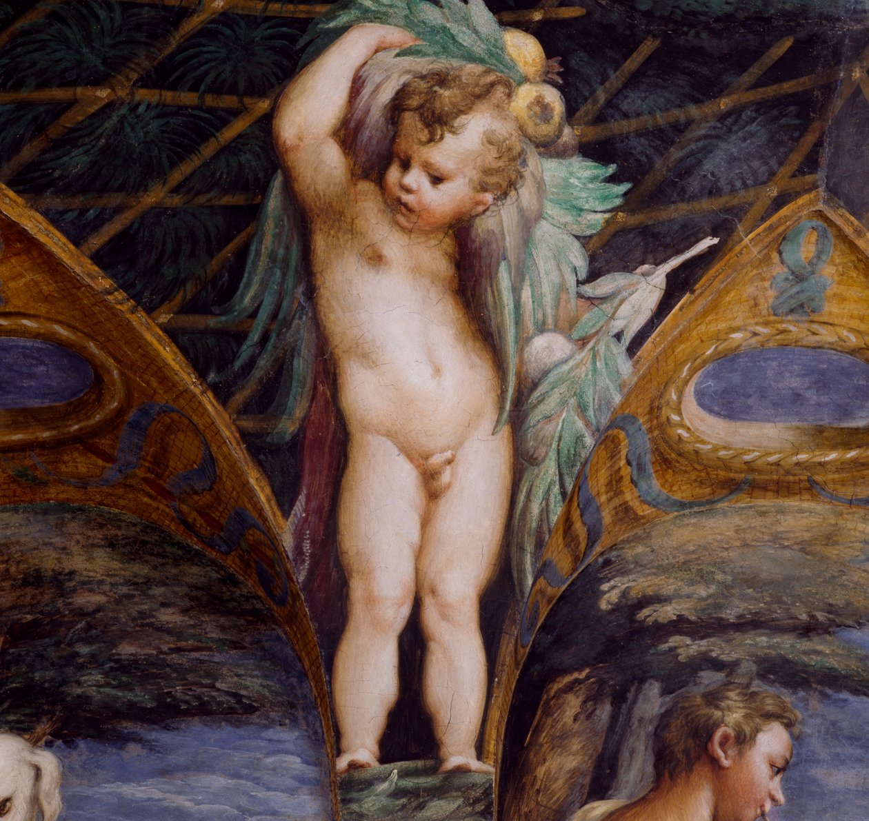 Cherub, detalje fra Myth of Diana and Actaeon, ca af Parmigianino