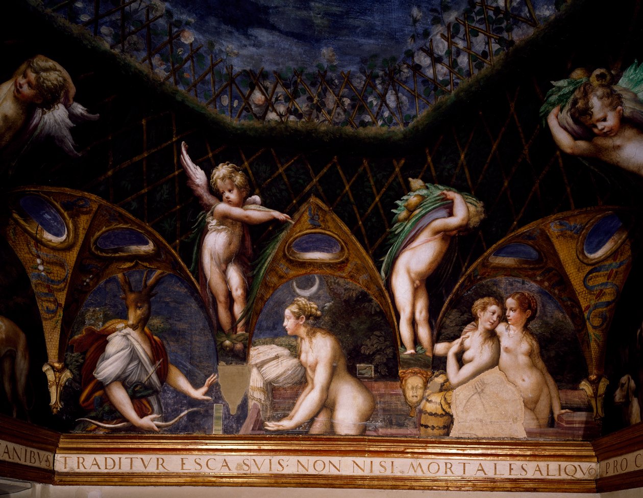 Diana forvandler Actaeon til kronhjort, scene fra Myth of Diana and Actaeon af Parmigianino