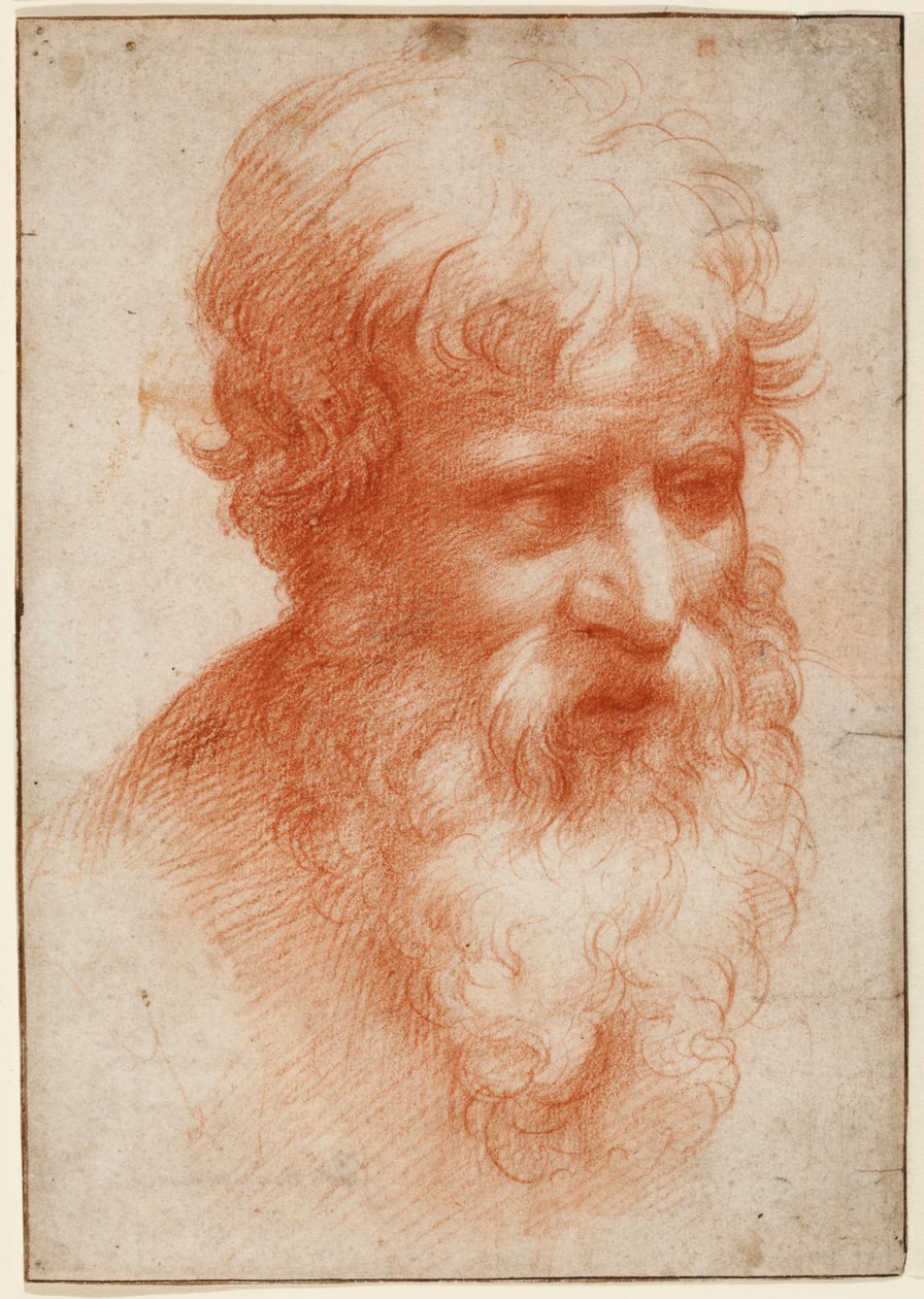 Oikealta katsovan parrakkaan miehen pää, n. 1523-25 (punainen liitu paperilla) af Parmigianino (1503 40)