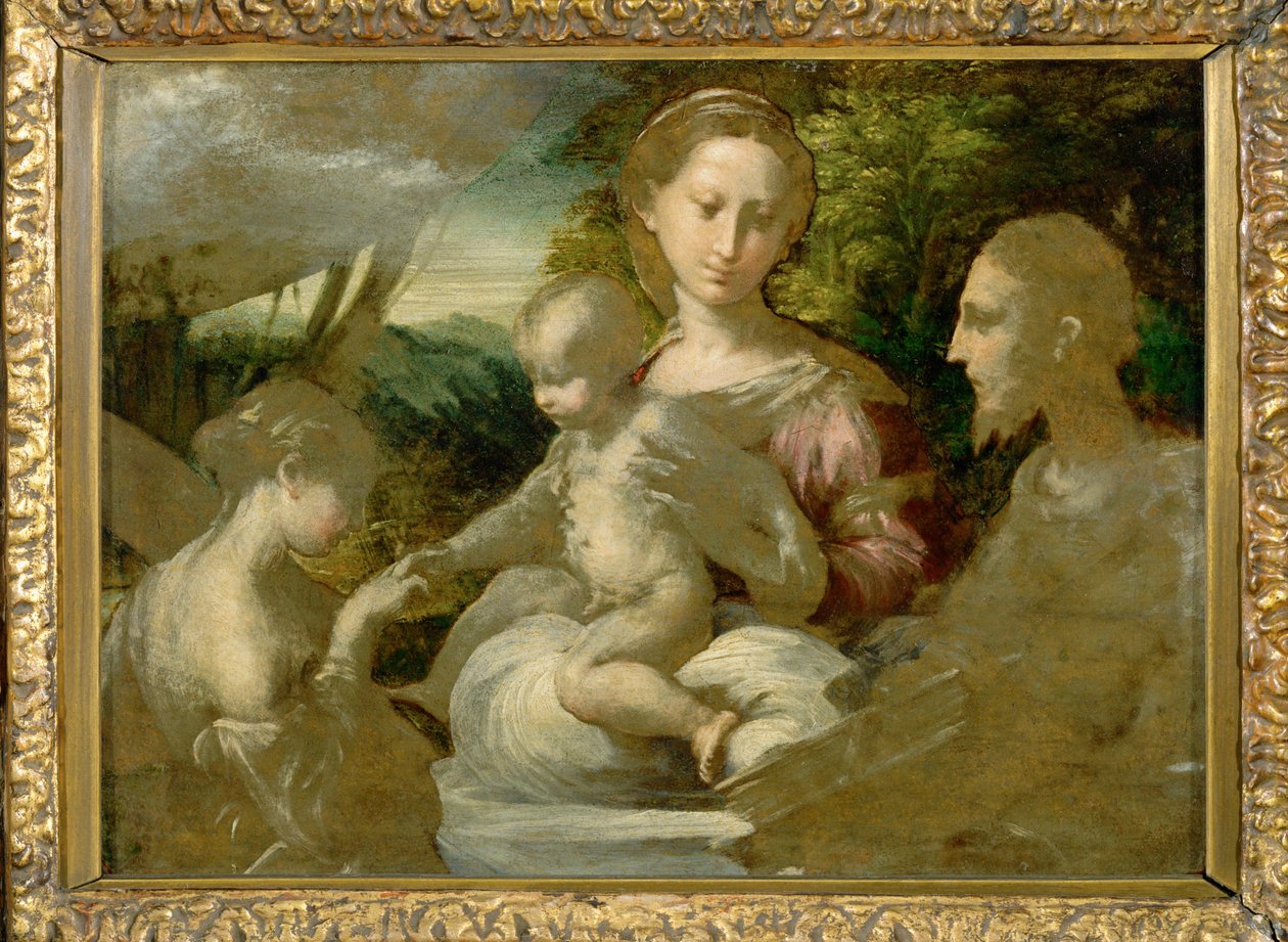 Madonna og helgener ... af Parmigianino (1503 40)