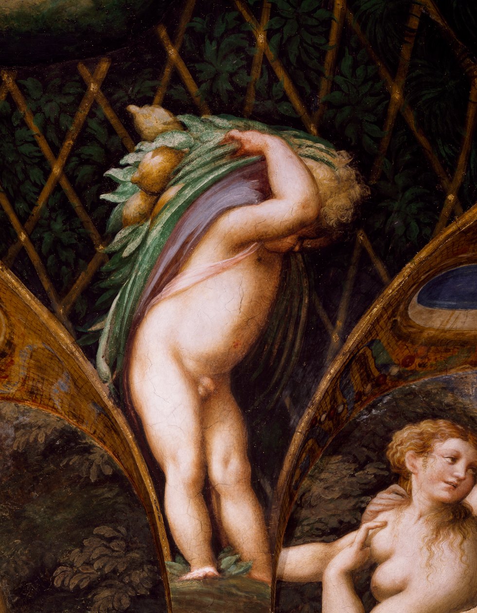 Putto, fra Myth of Diana and Actaeon af Parmigianino