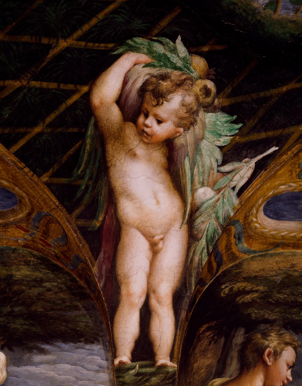 Putto, fra Myth of Diana and Actaeon af Parmigianino