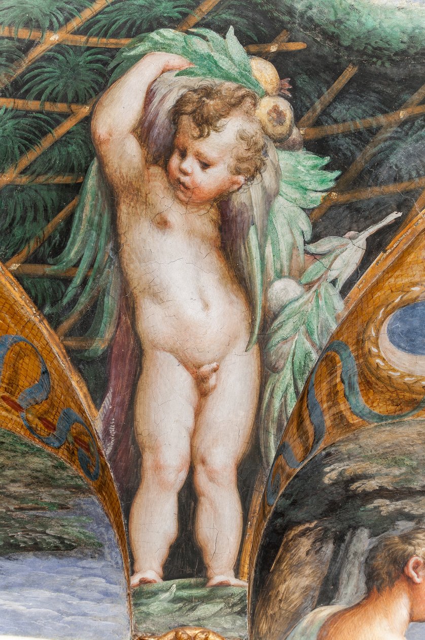 Putto, fra Room of Diana and Actaeon, detalje fra 2384753 af Parmigianino