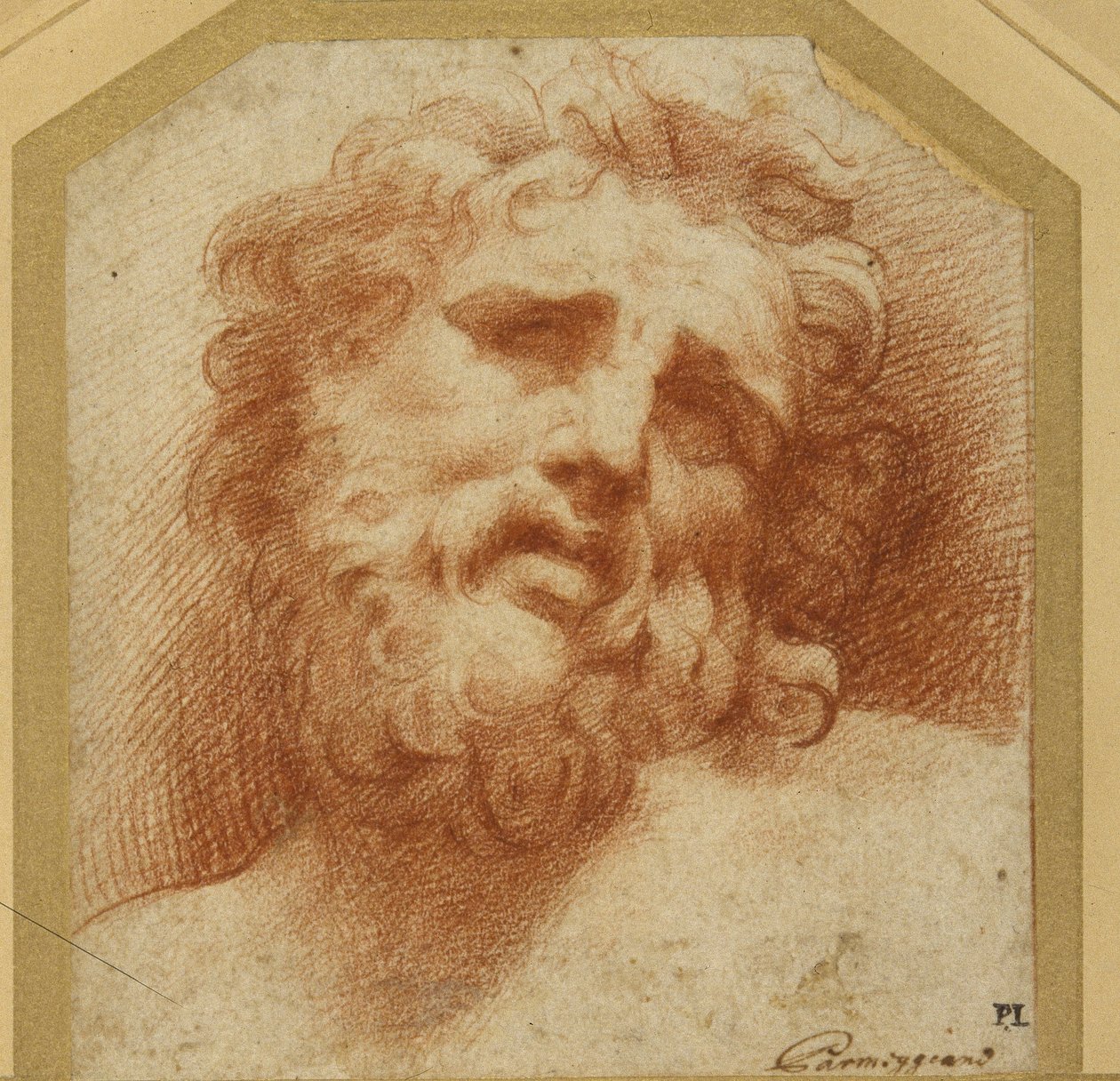 Et skægget hoved, der kigger op (muligvis Laocoon) (rødt kridt på hvidt papir) af Parmigianino