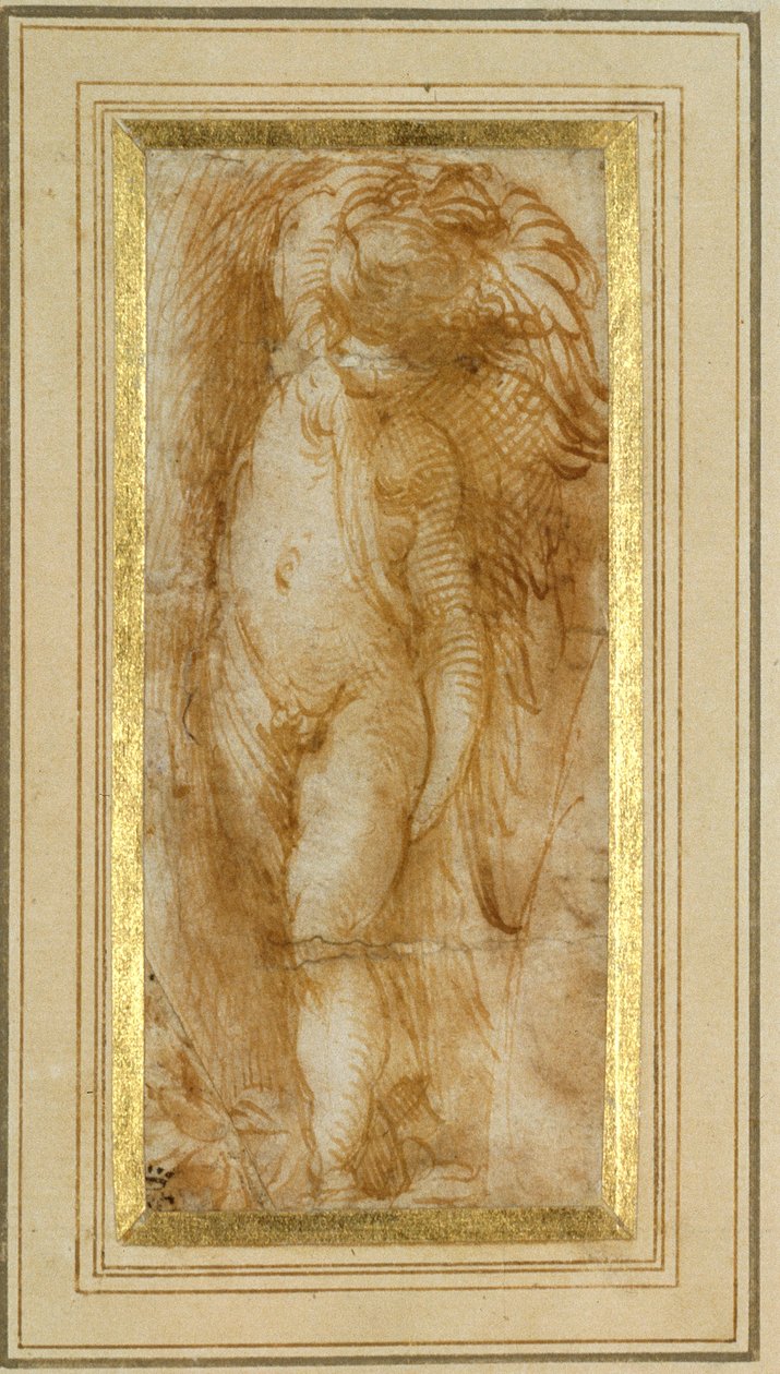 En putto drejet til venstre (pen & brunt blæk på papir) af Parmigianino