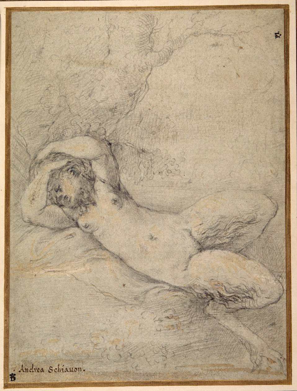En satyrinde sover under et træ (sort kridt med forhøjning i hvid kropsfarve på carta azzurra) af Parmigianino