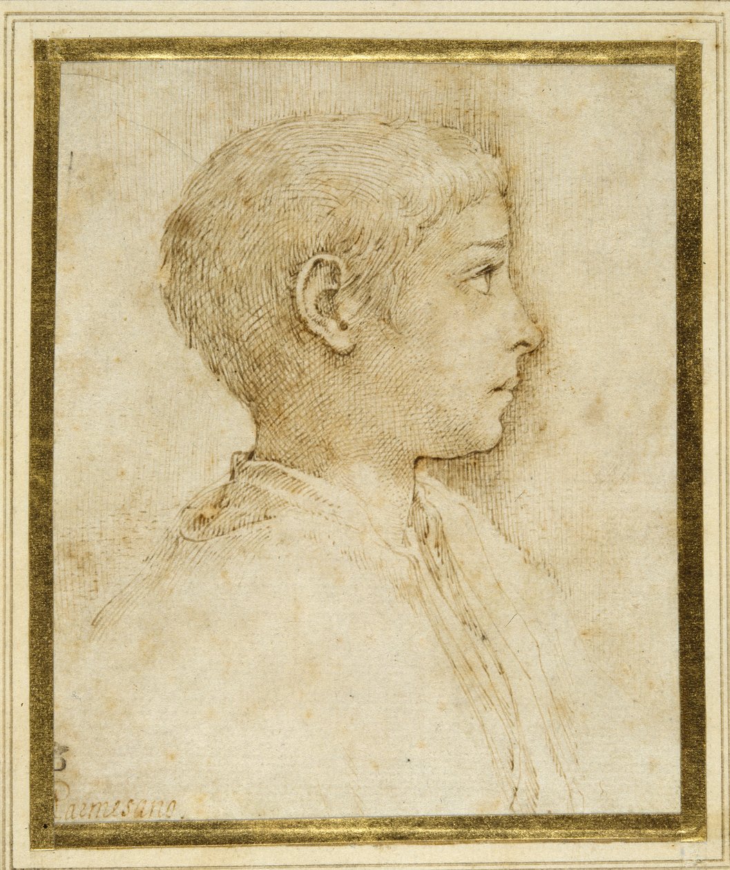 Buste af en dreng i profil til højre (pen & brunt blæk på hvidt papir) af Parmigianino