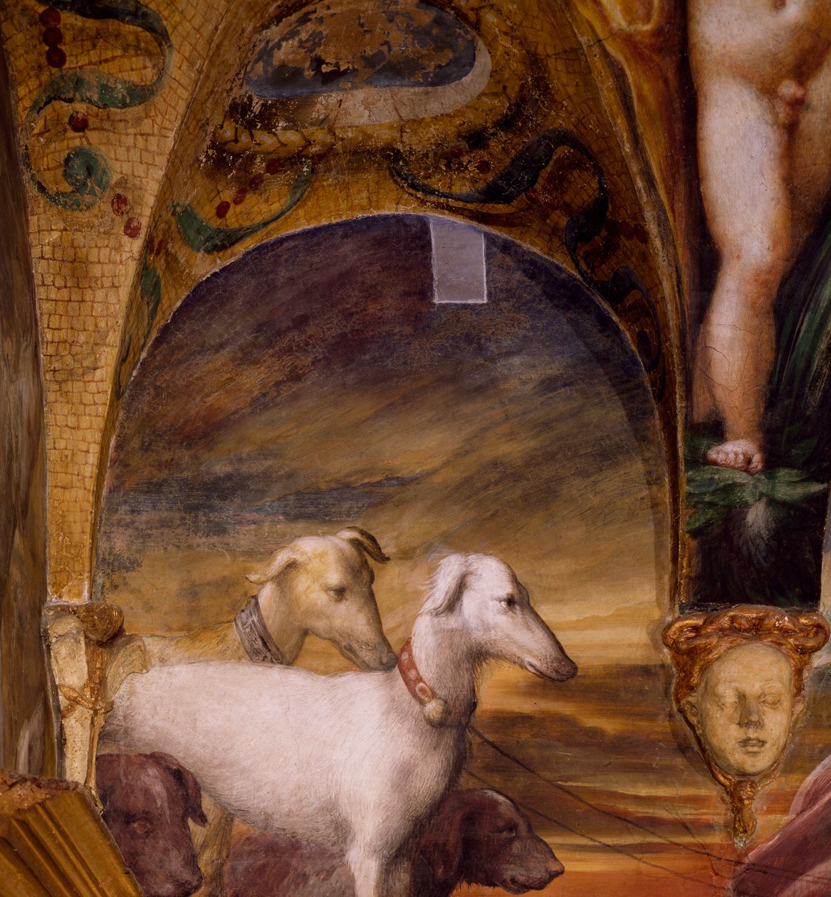 Gruppe af hunde, fra Myth of Diana and Actaeon af Parmigianino