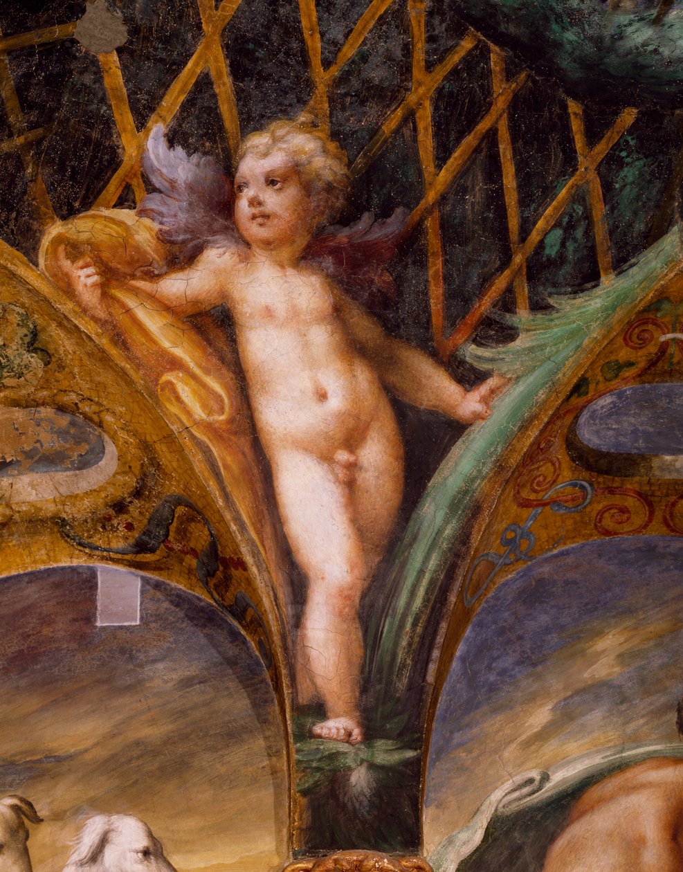 Putto, fra Myth of Diana and Actaeon af Parmigianino