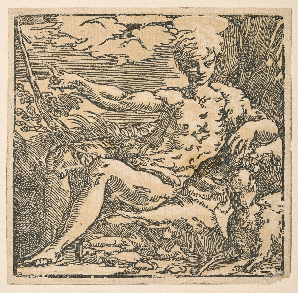 Johannes Døberen i ørkenen af Parmigianino