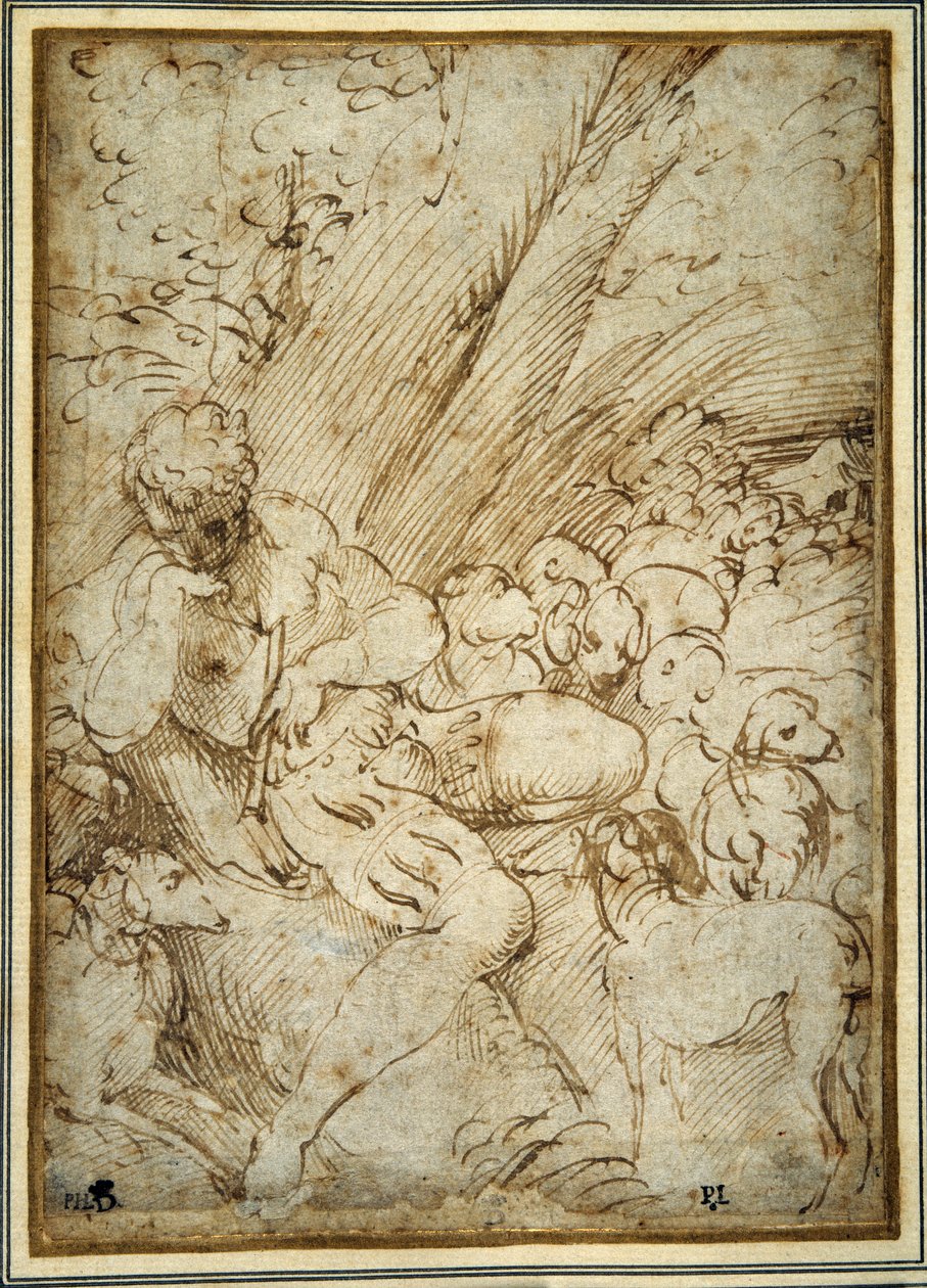 Hyrdedreng, der holder en pibe, hviler under et træ med sin hund blandt deres flok (pen og brunt blæk på papir) af Parmigianino