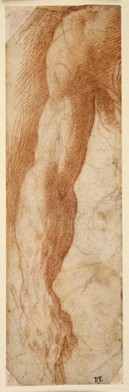 Studie af en mands højre arm, hans hånd holder en pind (rødt kridt på hvidt papir) af Parmigianino