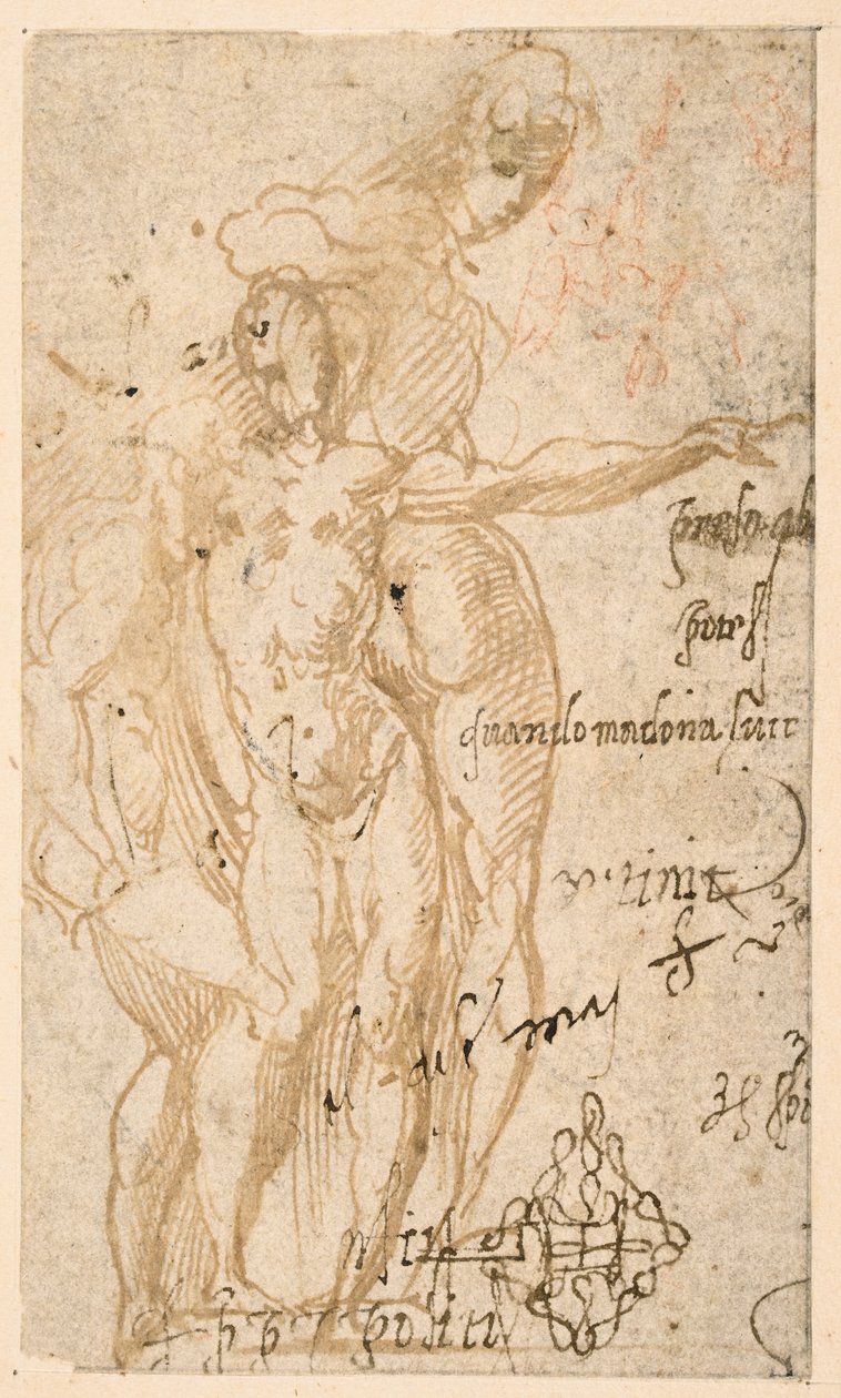 Studie af tre nøgenfigurer (recto) af Parmigianino