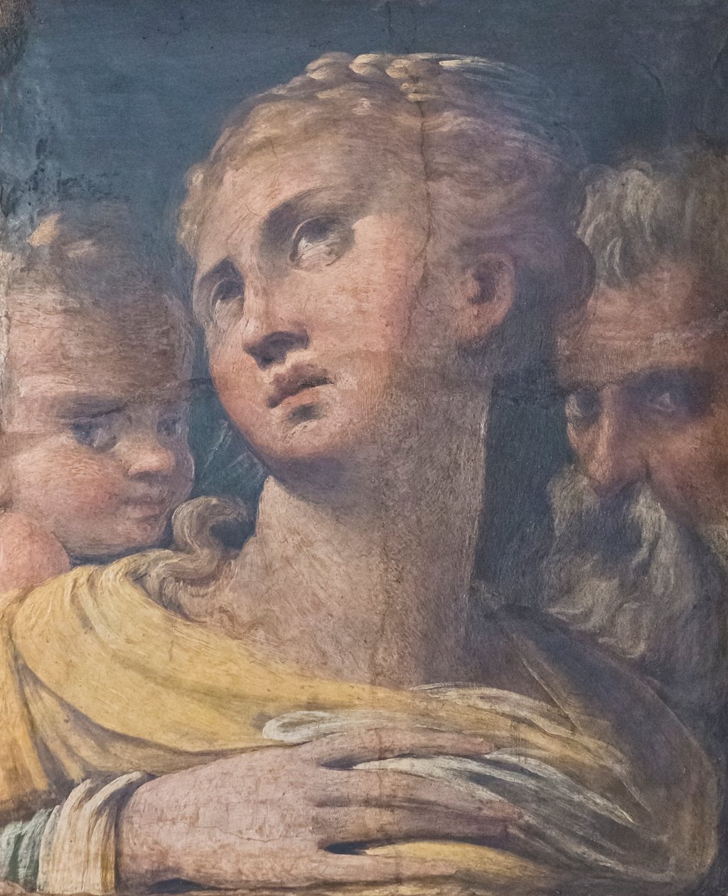 Tre hoveder af Parmigianino (1503 40)