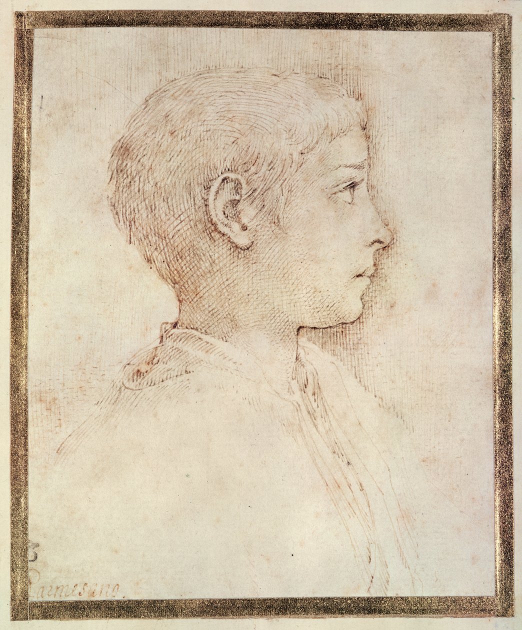 Hoved af en dreng af Parmigianino
