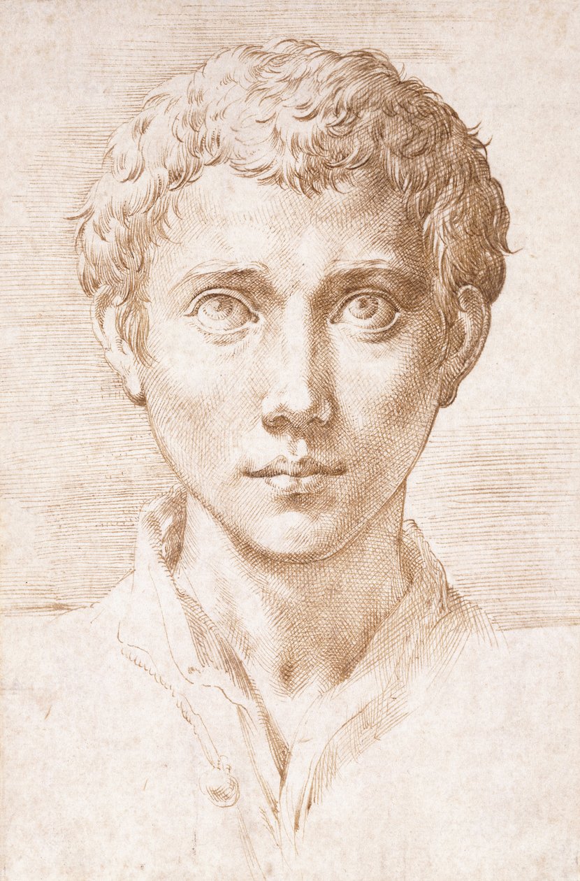 Hovedet af en ung mand kigger op, af Parmigianino