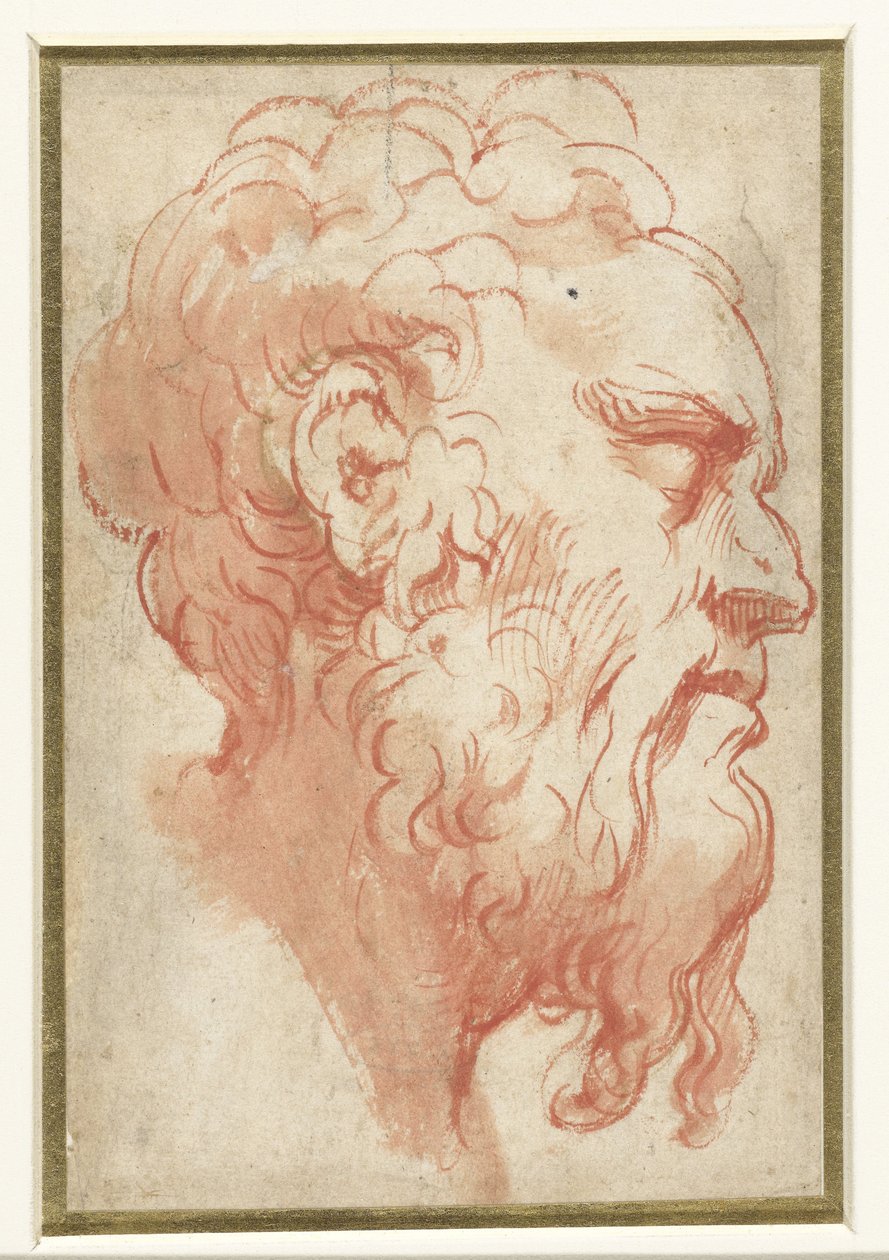 Hovedet af en gammel mand, i profil til højre af Parmigianino