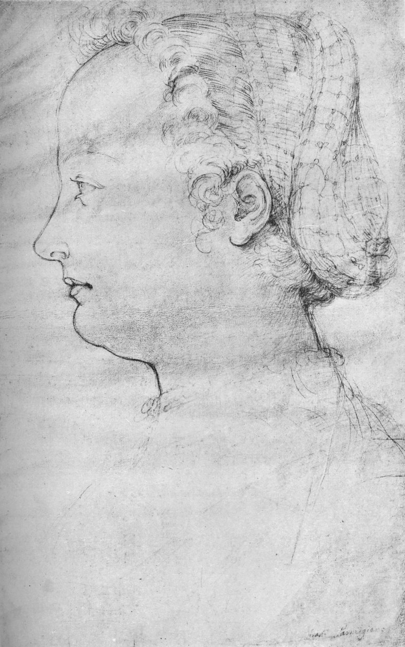 Portræt af en dame, 1500-tallet, 1923 af Parmigianino