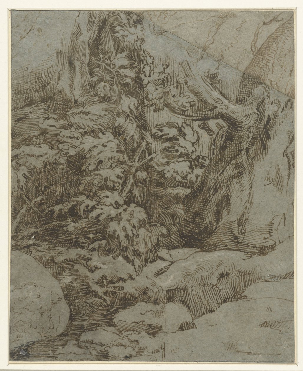Studie af et landskab af Parmigianino