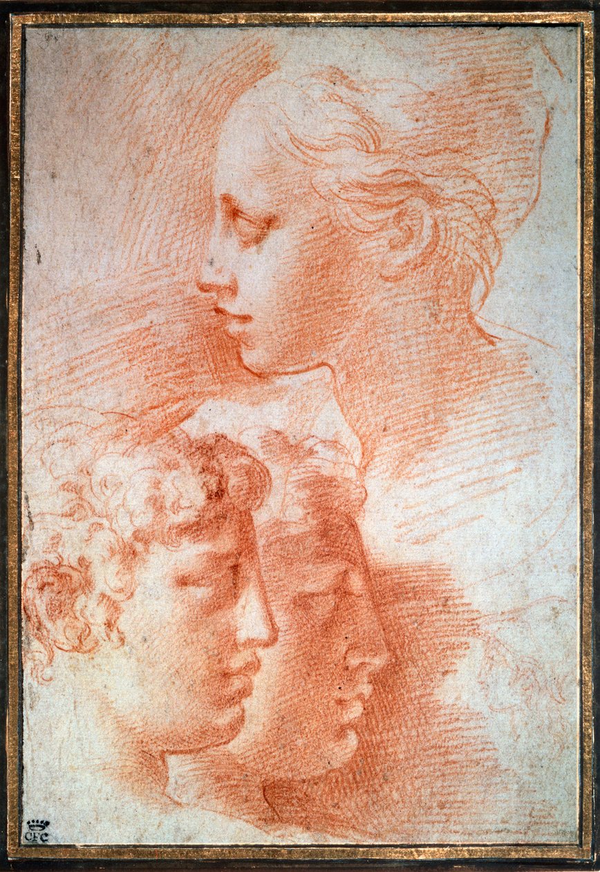 Studie af hovederne, c1527 af Parmigianino