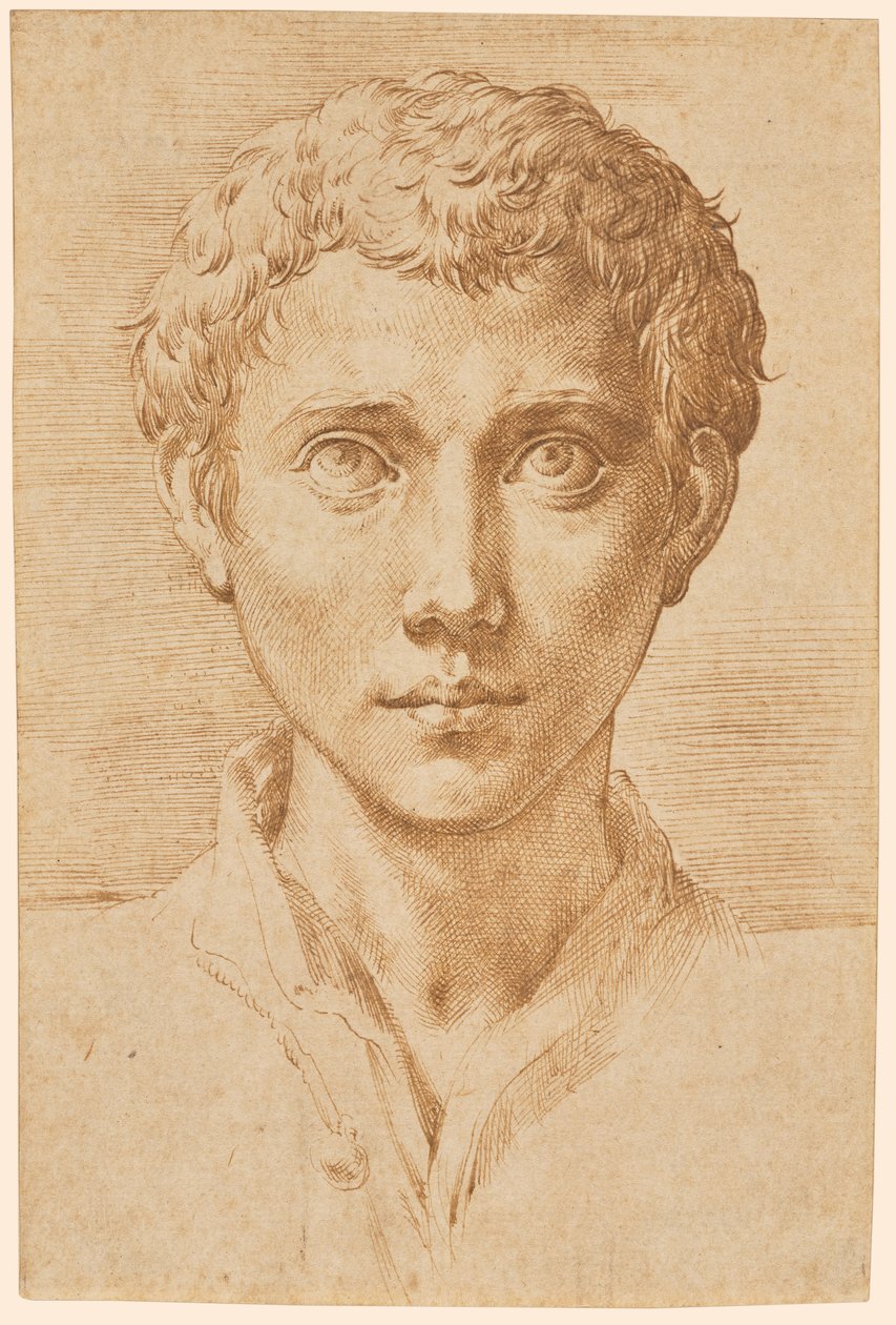 Hovedet af en ung mand af Parmigianino